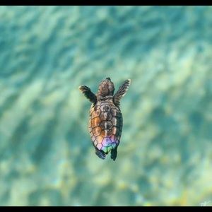 Meet your Posher, Julimar